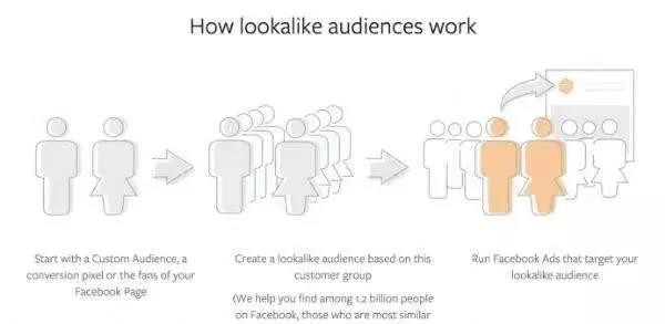1542100625268446.jpg Lookalike Audience.jpg