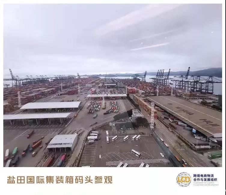 盐田集装箱港区俯瞰图 盐田集装箱港区俯瞰图.jpg
