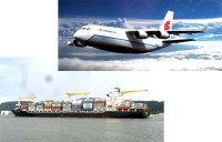 tuauuu国际物流管理系统软件助力物流企业开拓中东跨境物流市场