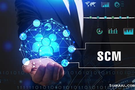 Infor SCM供应链仓储物流管理系统