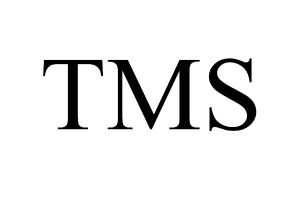 国际货代系统TMS的价格