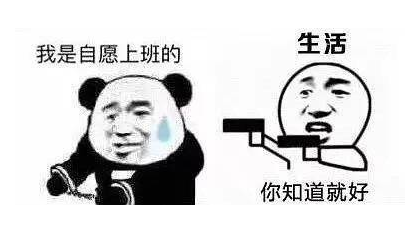 假期必备！软件这些功能让你安心过好年